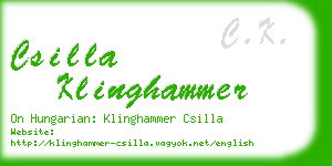 csilla klinghammer business card